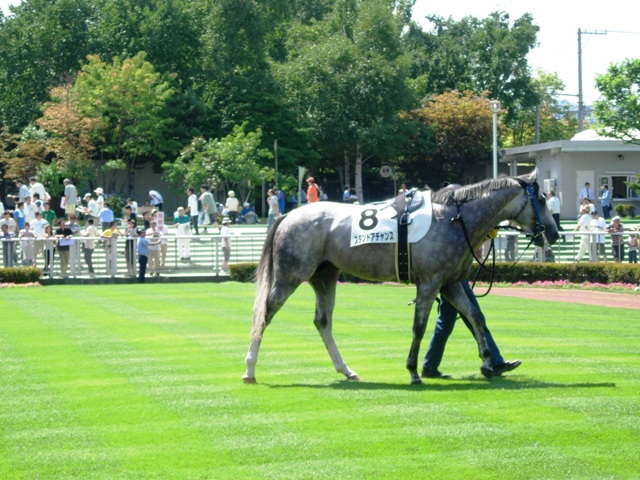e0088402_2228321.jpg