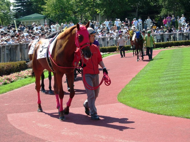 e0088402_2261517.jpg