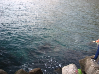 f0020302_19413854.jpg