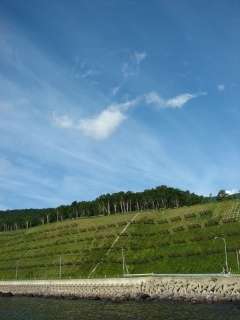 f0020302_2014224.jpg