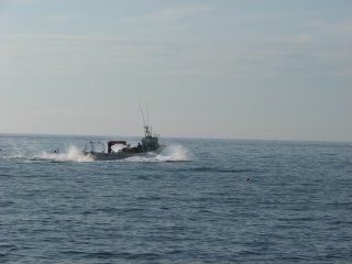 f0020302_202142.jpg