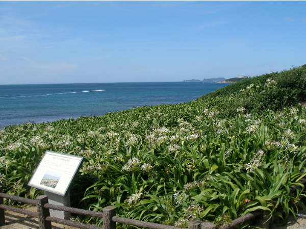 c0036203_2114364.jpg