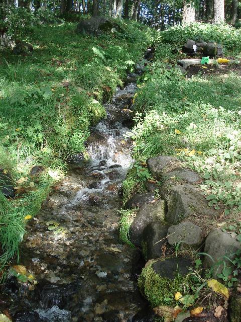f0084806_1027975.jpg