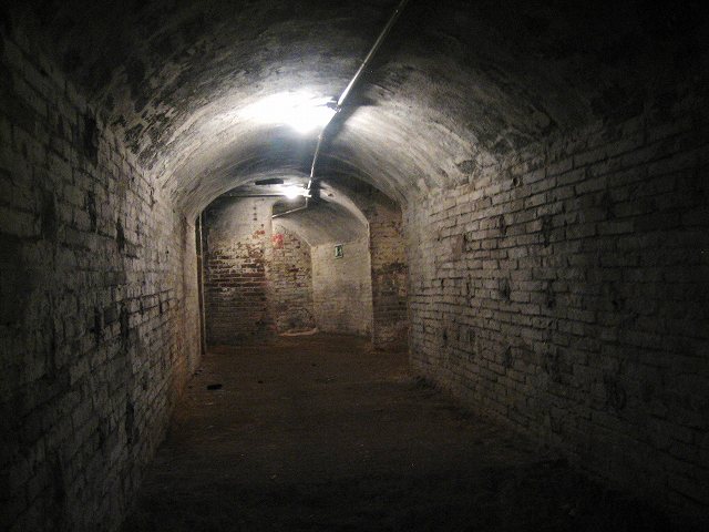 b0064411_448848.jpg