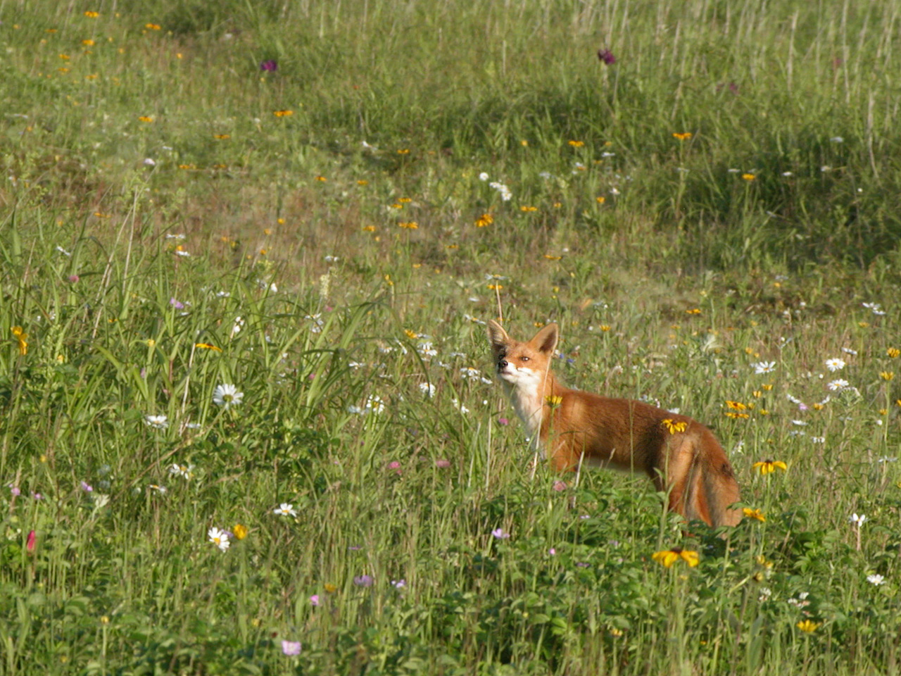 c0133911_2422886.jpg