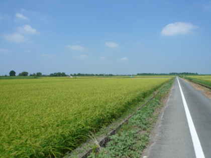 a0077616_18335961.jpg