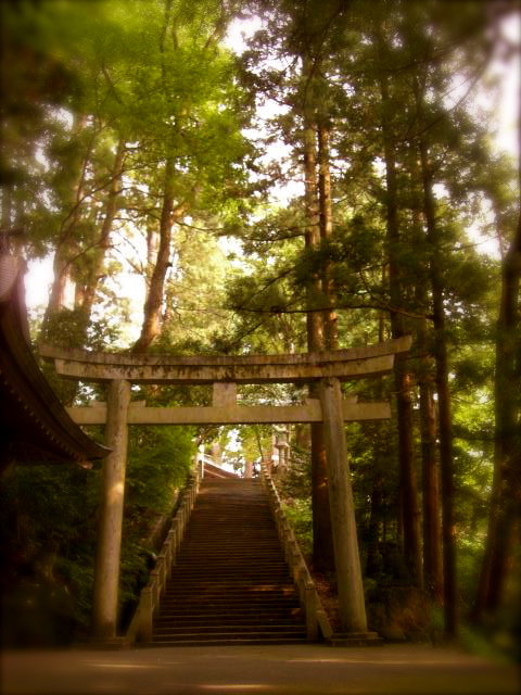 c0120817_22152254.jpg