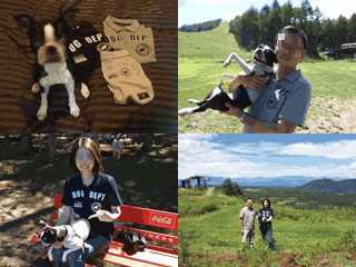 e0080117_10294323.gif