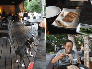 e0080117_10594729.gif