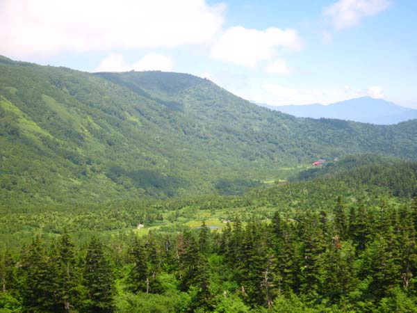 f0120317_23482745.jpg