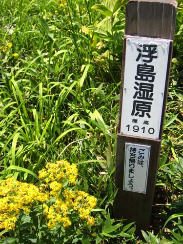f0120317_23483867.jpg