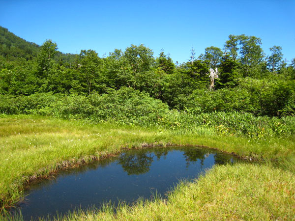 f0120317_2349214.jpg