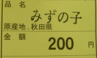 d0068023_151641.jpg