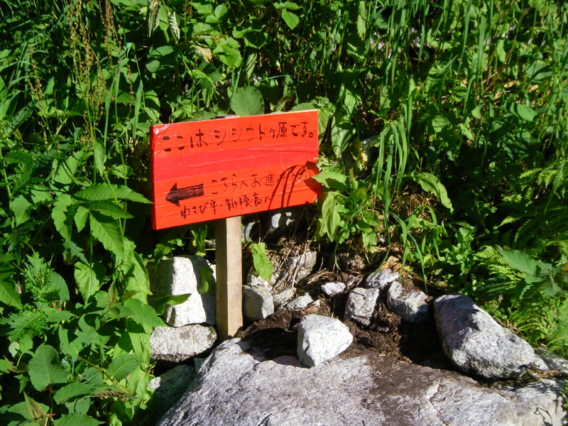 b0062024_11552342.jpg
