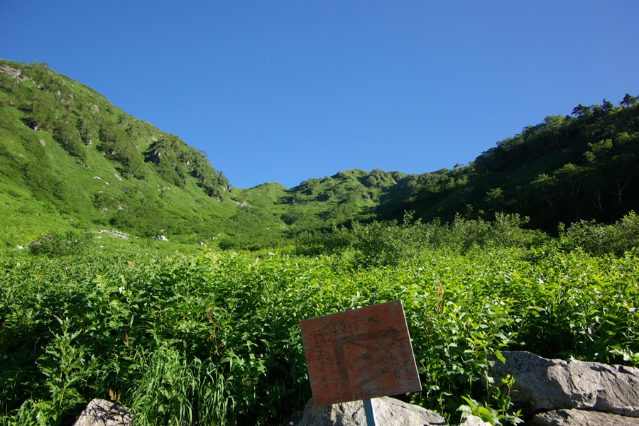 b0062024_11561653.jpg