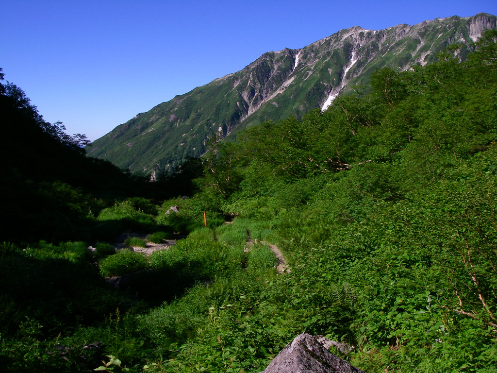 b0062024_11584554.jpg