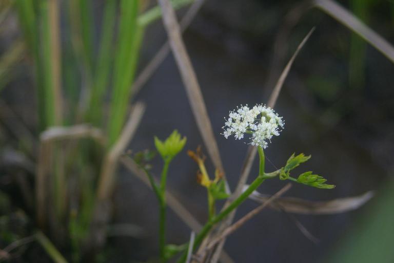 c0107924_23154712.jpg