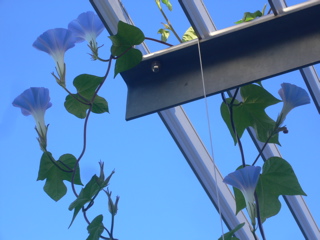 b0044528_21283335.jpg