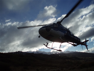 e0039531_7493750.jpg