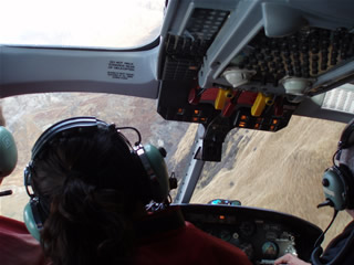 e0039531_7502147.jpg