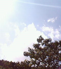 c0118536_1801716.jpg