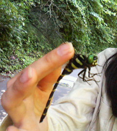 c0118536_1805251.jpg