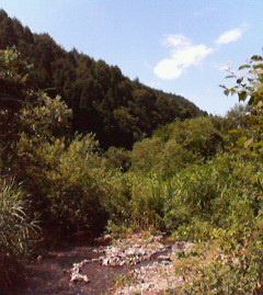 c0118536_1813735.jpg