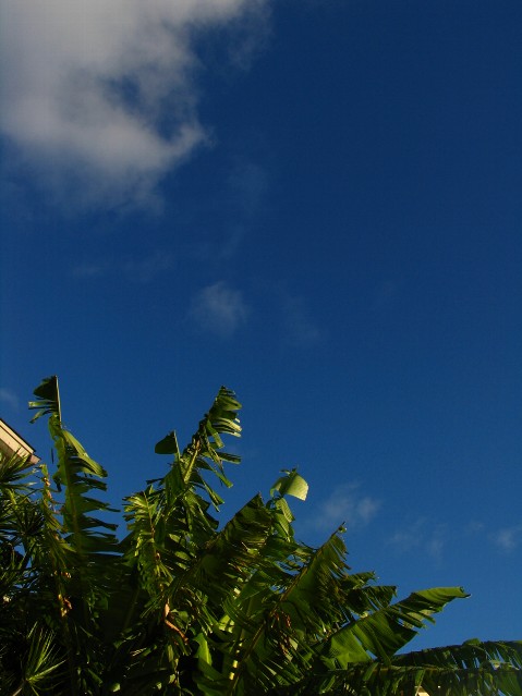 e0022439_13105273.jpg