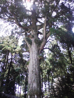 c0003040_21233968.jpg