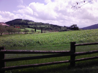 c0003040_21241683.jpg