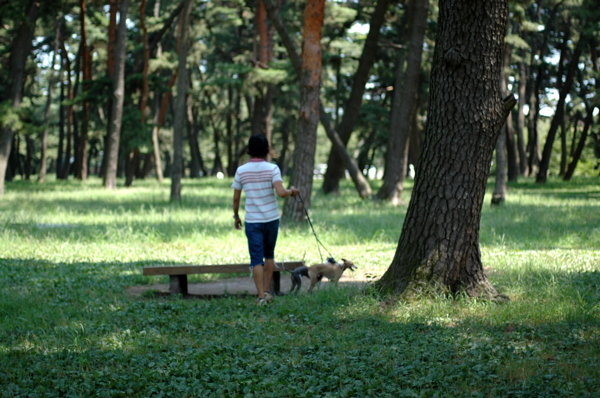 a0082146_15522168.jpg