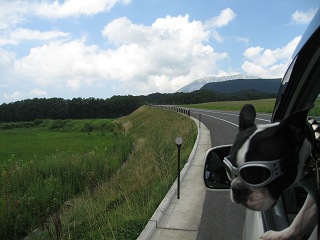 e0126046_10563746.jpg
