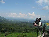 e0126046_11153517.jpg