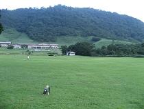 e0126046_11264881.jpg
