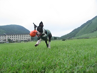 e0126046_11413369.jpg