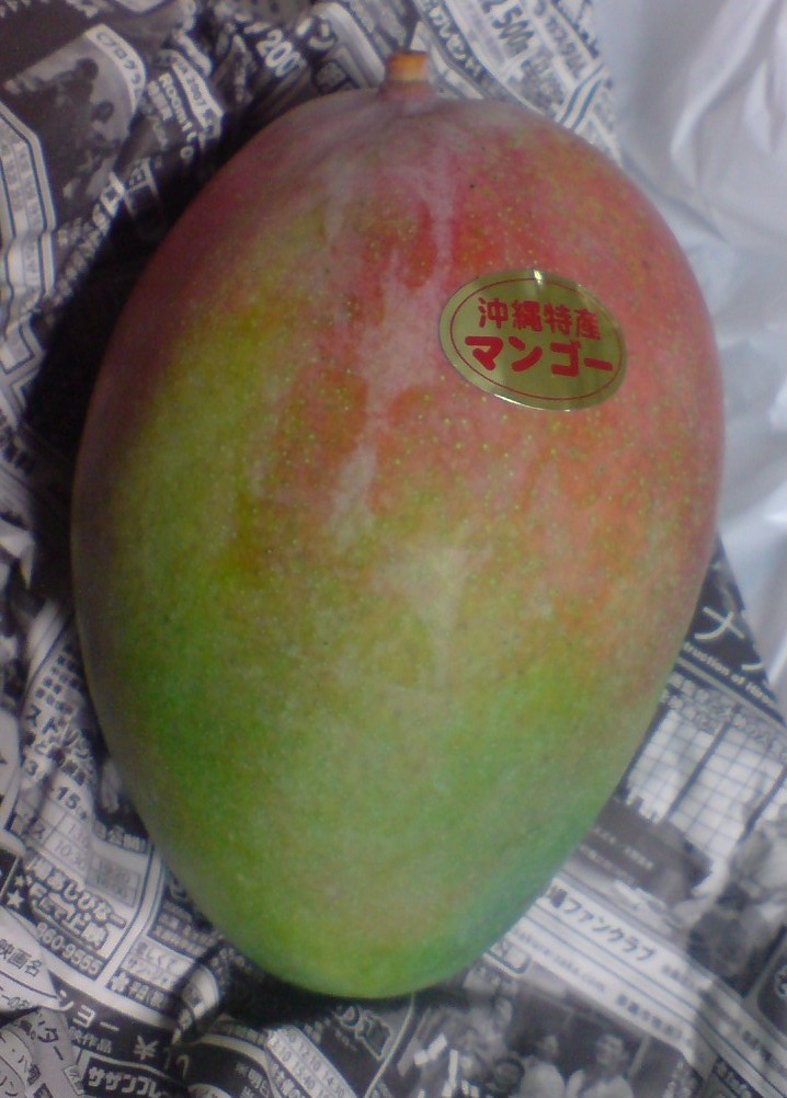 e0050449_20234177.jpg
