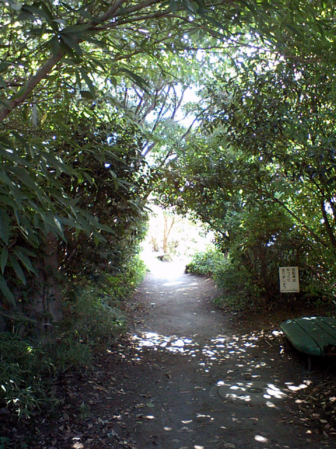 b0024261_14305992.jpg