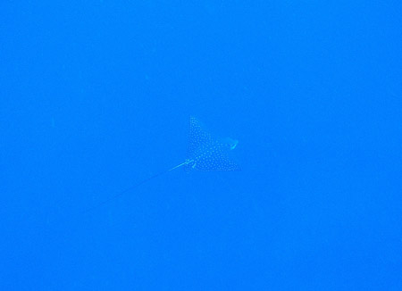 b0062363_011148.jpg
