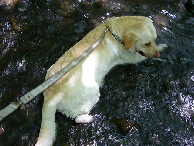 f0057565_13215534.jpg
