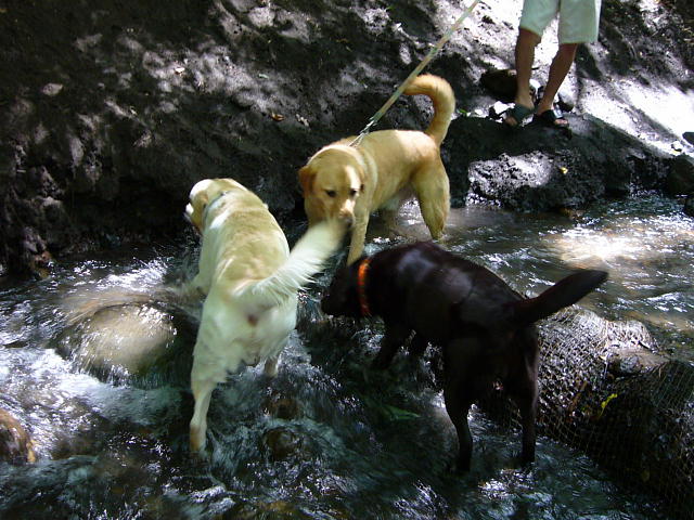 f0057565_13223833.jpg