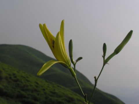 c0042869_20394451.jpg