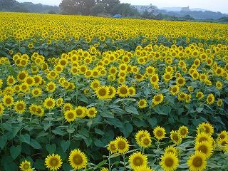 f0123373_22475222.jpg