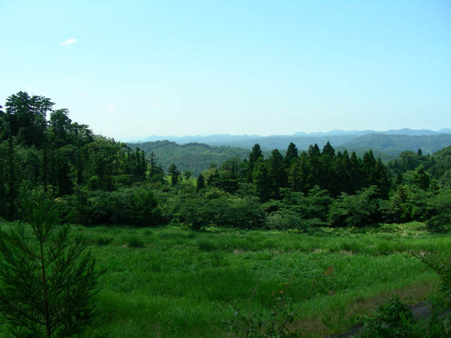 e0052074_0114159.jpg