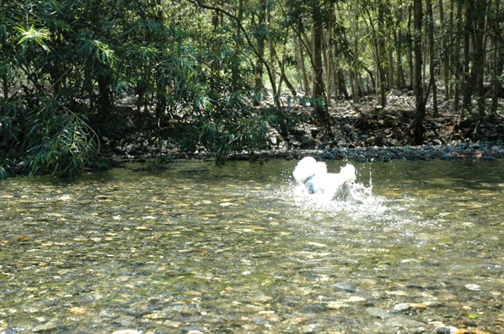 d0117776_20311626.jpg