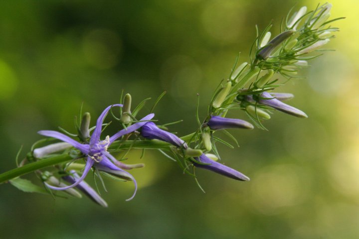 a0060882_1753355.jpg