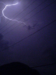 c0082785_20124099.jpg