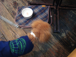 c0130389_22315769.jpg