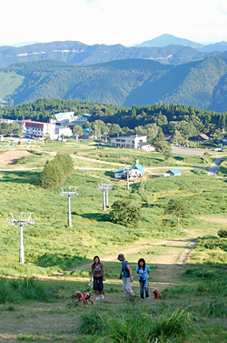 c0130389_8463875.jpg