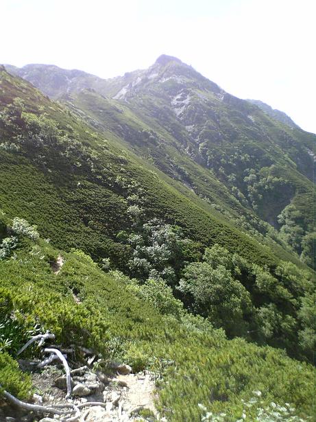 d0054692_20375633.jpg