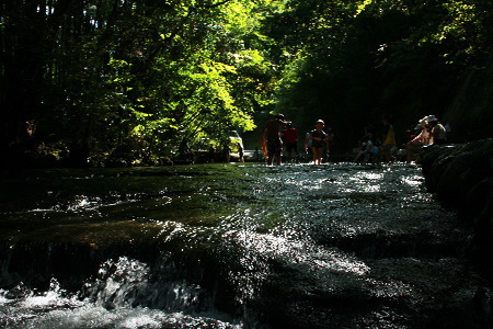 f0093592_23285470.jpg
